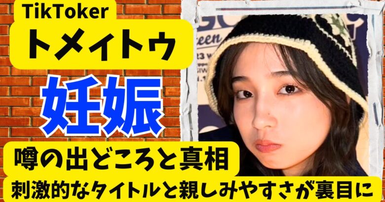 トメィトゥ妊娠とその真相!刺激的なタイトルと親しみやすさが裏目に…