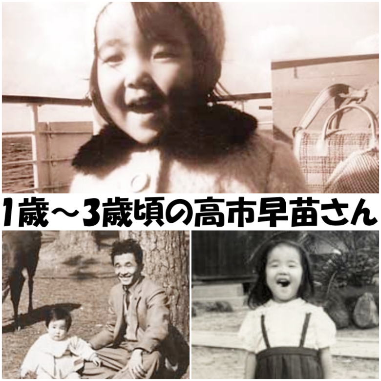 引用元:高市早苗衆議院議員公式HP