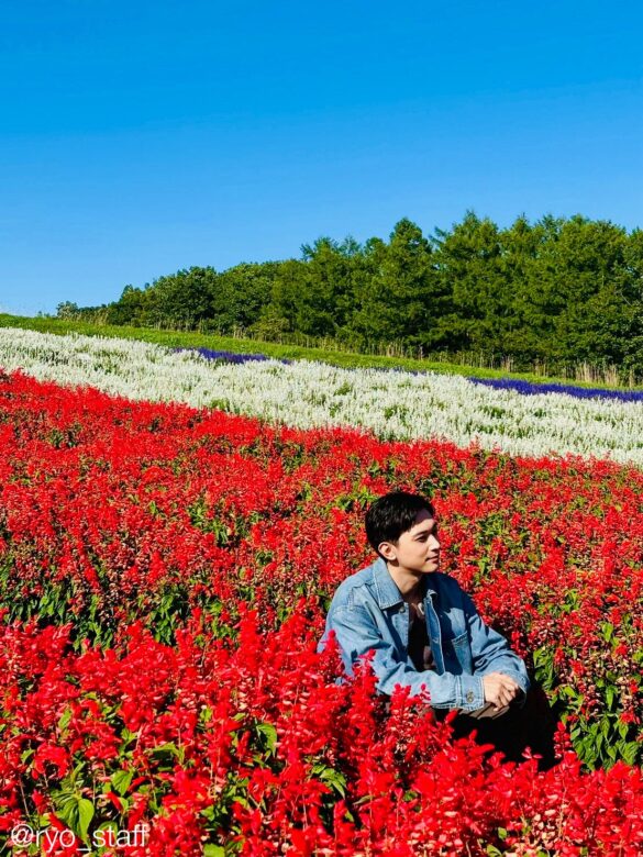 引用元:吉沢亮公式X