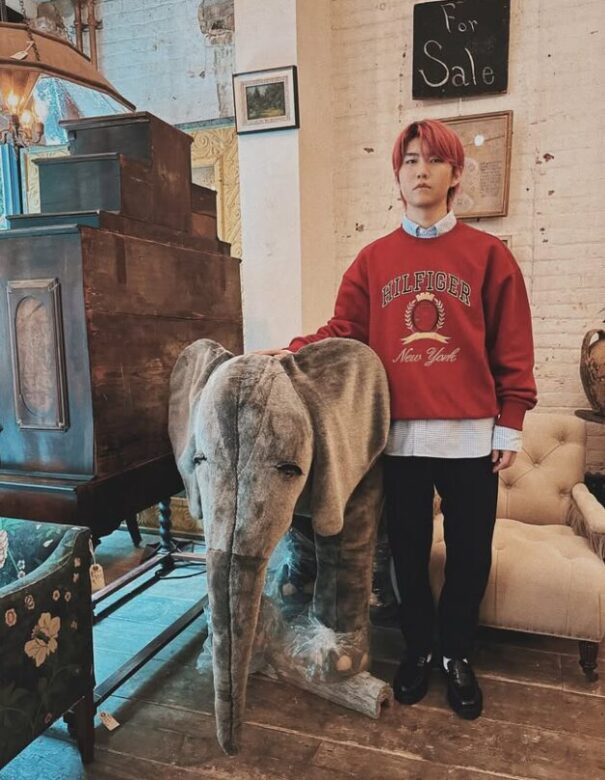 引用元：若井滉斗Instagra