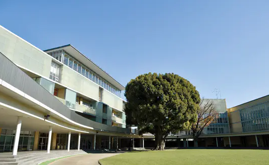 青山学院初等部　引用元：SCHOOL　DIAMOND