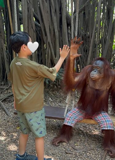 引用元：秋山衣梨佳Instagram