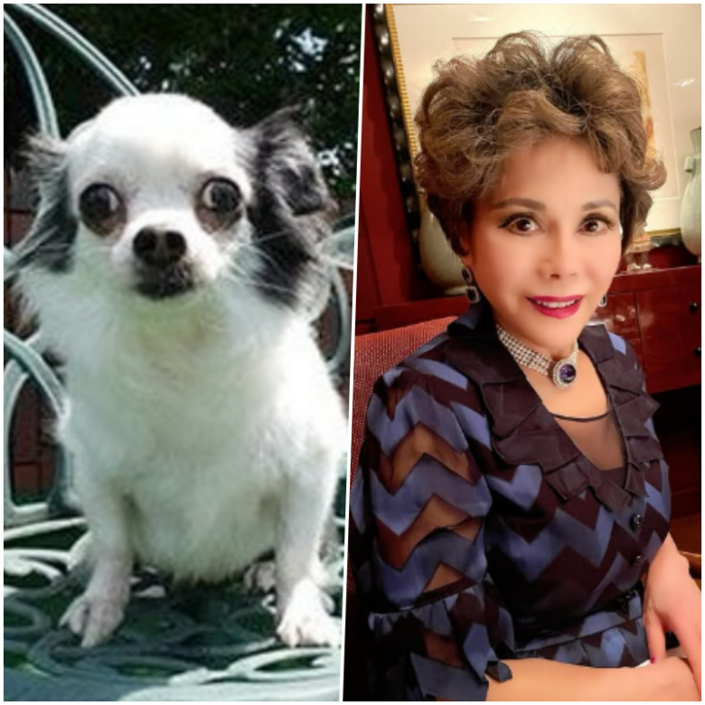 愛犬太郎ちゃんとデヴィ夫人
引用元：デヴィ夫人Instagram