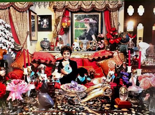 デヴィ夫人と愛犬たち
引用元：デヴィ夫人Instagram