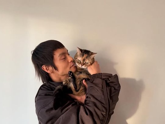 窪田正孝の猫ニコ