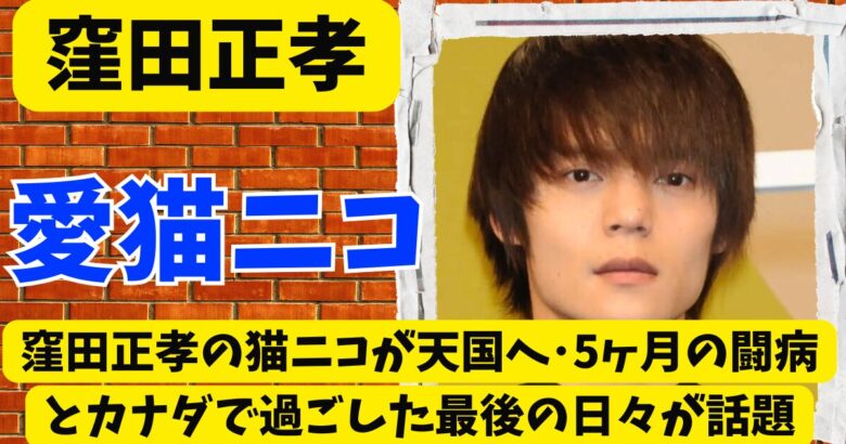 窪田正孝の猫ニコが天国へ･5ヶ月の闘病とカナダで過ごした最後の日々が話題