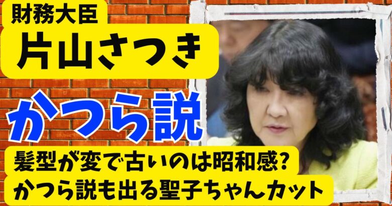 片山さつきの髪型が変で古いのは昭和感?かつら説も出る聖子ちゃんカット